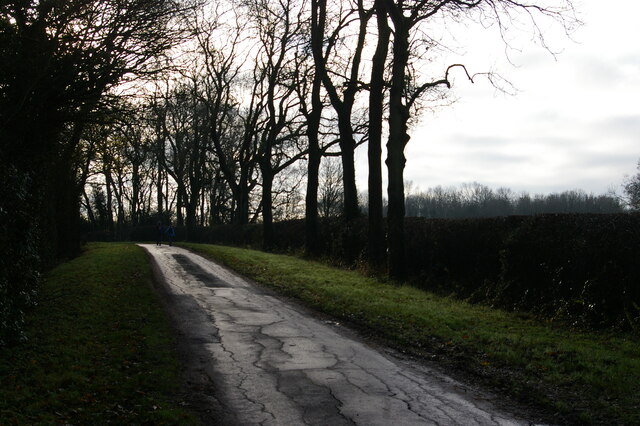 Haselbech Hill: lane running south towards Cottesbrooke