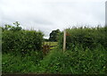 Footpath off Acres Lane