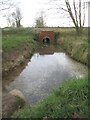 Meadow  Stream  going  under  railway  line