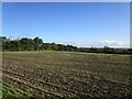 Stubble field, Crow Wood Hill