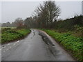 Northerly direction on North Walsham road