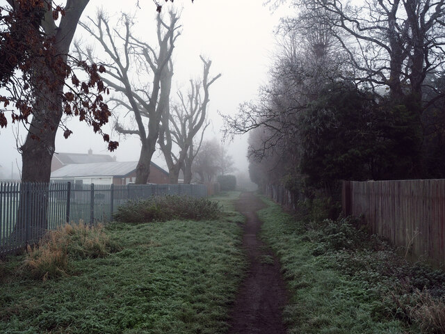 Middle Lane in the Mist