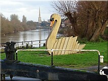 SO8453 : A swan-shaped flowerbed by Philip Halling