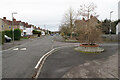 Trees at the end of Coverley Road