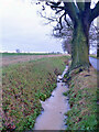 TL8232 : Running ditch by Oak Road by Robin Webster
