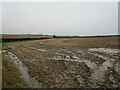 Muddy field near Willoughby Farm