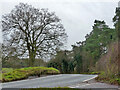 B1115 towards Sudbury