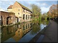 The Worcester and Birmingham Canal