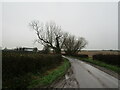 Lane to Norwell near Willoughby Farm