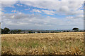 Arable field growing barley near the old Manse of Craig