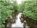 View along the River Derwent at Allensford