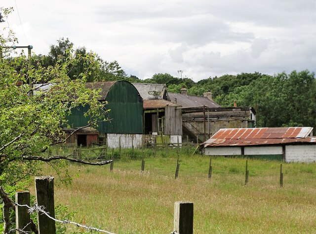 Old farmstead at Wharnley Burn