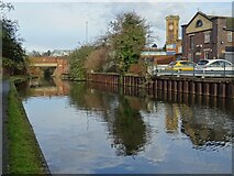 SO8555 : The Worcester and Birmingham Canal by Philip Halling