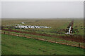 TL4582 : Byall Fen wet grassland by Hugh Venables