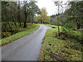 NN2331 : Glen Orchy - Road (B8074) near to Cat-Innis by Peter Wood