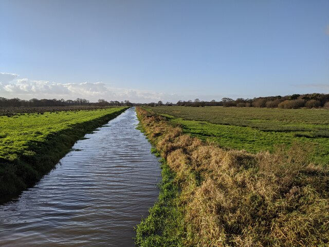 Drain on the Somerset levels, north of Westhay Moor Nature Reserve, looking west