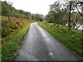 NN2129 : Glen Orchy - Road (B8074) beside the River Orchy by Peter Wood