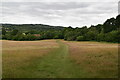 Footpath across a meadow