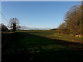 Field by the side of Stanton Hill Wood