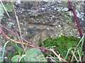 Benchmark on minor road near Lundin Links