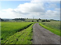 Track (bridleway) to Whincover Farm