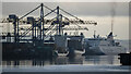 J3678 : Cranes and ships, Belfast by Rossographer