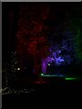 SP9211 : Tring - Memorial Gardens - Illuminated trees for Christmas by Rob Farrow