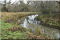 Side channel of the River Bourne at Gomeldon