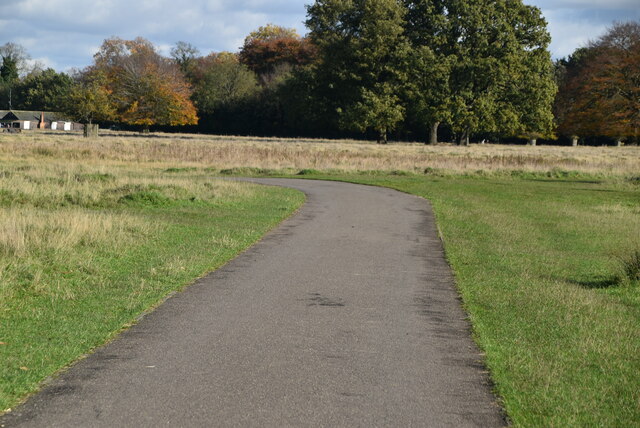 Cobbler's Walk, Bushy Park