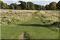 TQ1470 : Cobbler's Walk, Bushy Park by N Chadwick