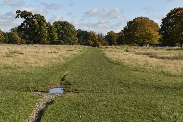 Cobbler's Walk, Bushy Park
