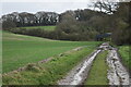 Track towards West Gomeldon Farm