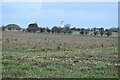 Uncultivated field near Boscombe Down