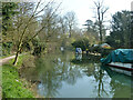 River Stort Navigation, Roydon