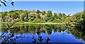 TQ0108 : Swanbourne Lake, Arundel by PAUL FARMER