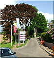 Treetops housing development