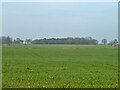 TL3912 : Farmland looking NW from  Hunsdon Road by Robin Webster