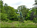 Arboretum in the Aberdeen Botanic Gardens