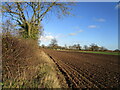 Prepared field near Mousehole Corner