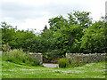 Opening in the boundary wall of Seaton Park