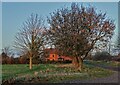 Ash Tree Cottage, Blyton at sunset