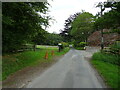 Oldstead Road beside Scawling Wood