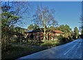 Peacock Cottages on the edge of Peacock Wood