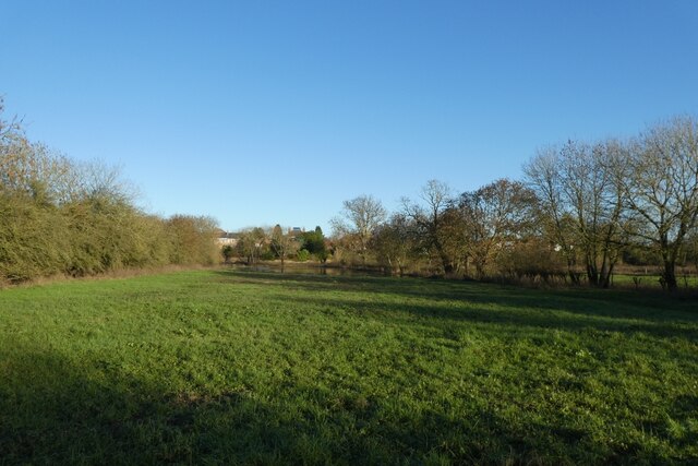 Fulford Ings © DS Pugh cc-by-sa/2.0 :: Geograph Britain and Ireland