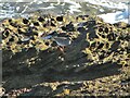 NU2617 : Redshank on the rocks by Gordon Hatton
