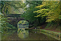 SJ8120 : Canal at Plardiwick Bridge near Gnosall Heath by Roger  D Kidd