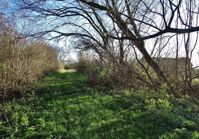 Track by Ravensfleet Warping Drain © Neil Theasby cc-by-sa/2.0 ...