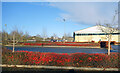 Red Hedges in the Business Park