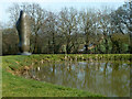 Henry Moore work by pond