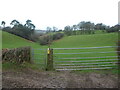 Down through Winterhead Hill